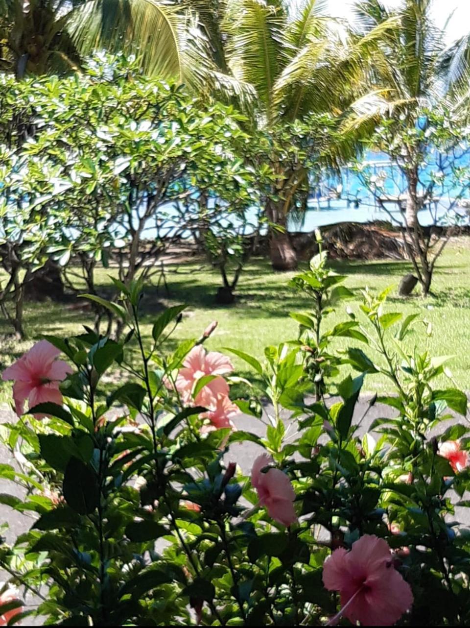 Corail Apartment Bora Bora Exterior photo